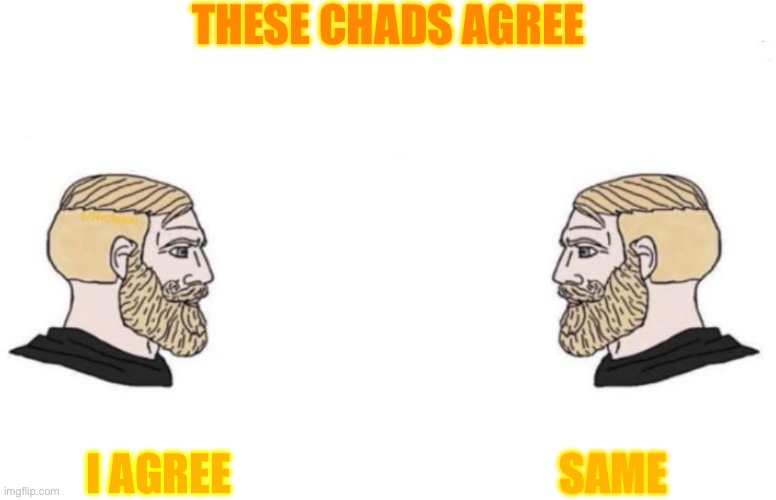 Double Yes Chad | THESE CHADS AGREE I AGREE SAME | image tagged in double yes chad | made w/ Imgflip meme maker