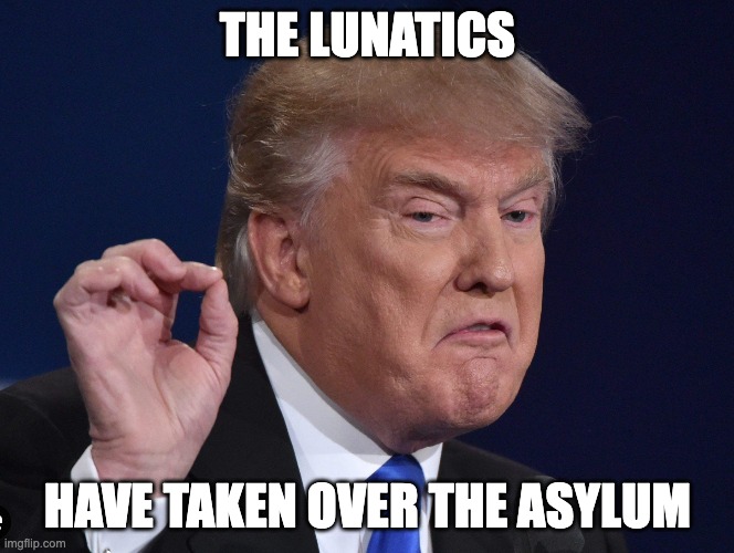 The Lunatics Have Taken Over The Asylum | THE LUNATICS; HAVE TAKEN OVER THE ASYLUM | image tagged in trump,lunatic,asylum,president,president trump,usa | made w/ Imgflip meme maker