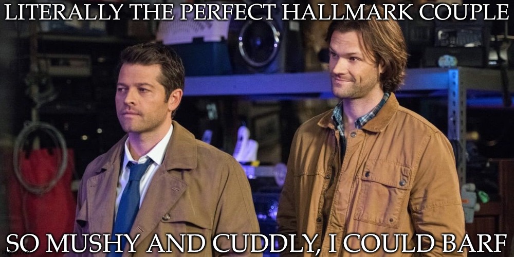 Am I The Only Person That Just Doesn't Like Mushy Gushy Kind Of Romance Stuff? :bleh: | LITERALLY THE PERFECT HALLMARK COUPLE; SO MUSHY AND CUDDLY, I COULD BARF | image tagged in supernatural,sastiel,sam winchester,castiel,total hallmark couple,i could barf | made w/ Imgflip meme maker