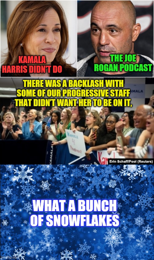 The Reason... | THE JOE ROGAN PODCAST; KAMALA HARRIS DIDN'T DO; THERE WAS A BACKLASH WITH SOME OF OUR PROGRESSIVE STAFF THAT DIDN’T WANT HER TO BE ON IT, WHAT A BUNCH OF SNOWFLAKES | image tagged in snowflakes,kamala harris,progressive,staff,politics,memes | made w/ Imgflip meme maker