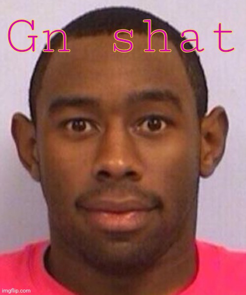 Tyler The Creator Mugshot | Gn shat | image tagged in tyler the creator mugshot | made w/ Imgflip meme maker