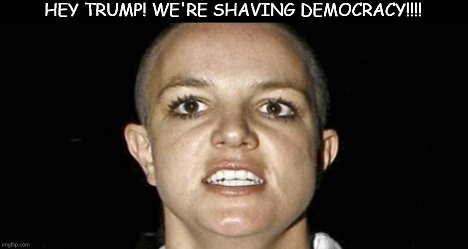 Brittney shaved head | HEY TRUMP! WE'RE SHAVING DEMOCRACY!!!! | image tagged in brittney shaved head | made w/ Imgflip meme maker