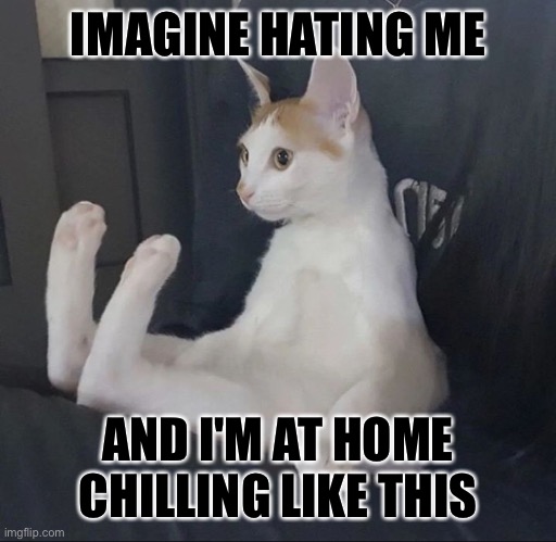 Imagine hating me and I'm at home chilling like this | IMAGINE HATING ME; AND I'M AT HOME CHILLING LIKE THIS | image tagged in imagine hating me,cat | made w/ Imgflip meme maker