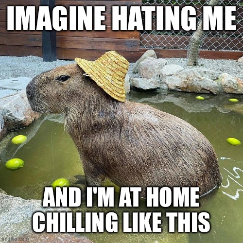 Imagine hating me and I'm at home chilling like this | IMAGINE HATING ME; AND I'M AT HOME CHILLING LIKE THIS | image tagged in imagine hating me,capybara | made w/ Imgflip meme maker