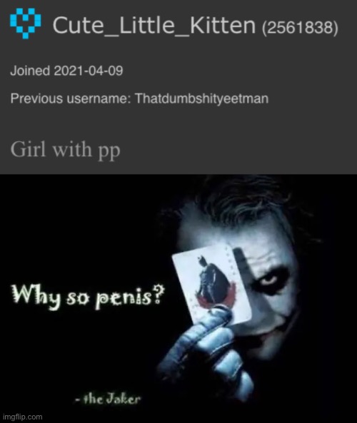 image tagged in why so penis | made w/ Imgflip meme maker