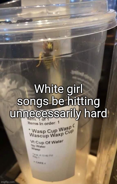 Hey, I just met you, and this is crazy!! But here's my number, so call me maybe!! | White girl songs be hitting unnecessarily hard | image tagged in wasp cup wasp cup wasp cup wasp cup wasp cup wasp cup wasp cup | made w/ Imgflip meme maker