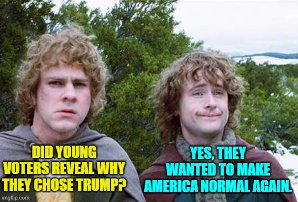 Yes, when polled, this was the general gist of their motivation.  There's hope for this nation after all. | YES, THEY WANTED TO MAKE AMERICA NORMAL AGAIN. DID YOUNG VOTERS REVEAL WHY THEY CHOSE TRUMP? | image tagged in second breakfast | made w/ Imgflip meme maker