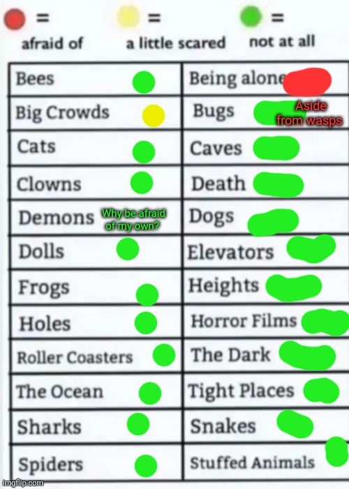 Things to be afraid of lol | Aside from wasps; Why be afraid of my own? | image tagged in things to be afraid of lol | made w/ Imgflip meme maker