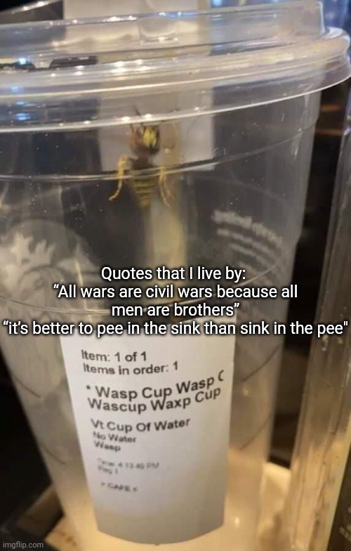 Wasp cup Wasp cup Wasp cup Wasp cup Wasp cup Wasp cup Wasp cup | Quotes that I live by: 
“All wars are civil wars because all men are brothers”
“it’s better to pee in the sink than sink in the pee" | image tagged in wasp cup wasp cup wasp cup wasp cup wasp cup wasp cup wasp cup | made w/ Imgflip meme maker