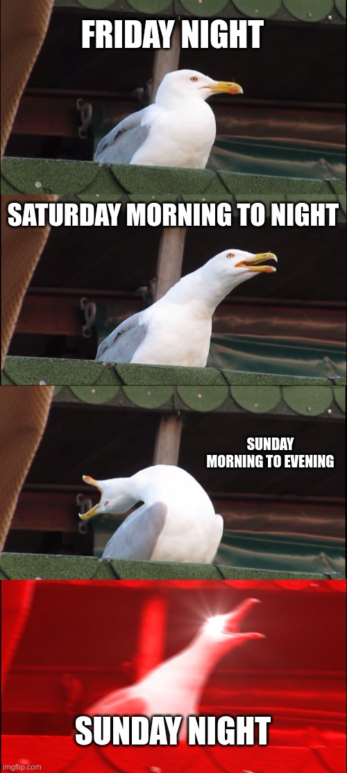 I hate mondays | FRIDAY NIGHT; SATURDAY MORNING TO NIGHT; SUNDAY MORNING TO EVENING; SUNDAY NIGHT | image tagged in memes,inhaling seagull | made w/ Imgflip meme maker