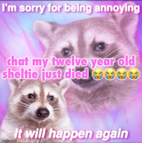 sorry for being annoying | chat my twelve year old sheltie just died 😭😭😭😭 | image tagged in sorry for being annoying | made w/ Imgflip meme maker