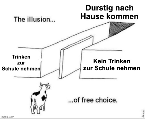 German school-day | Durstig nach Hause kommen; Trinken zur Schule nehmen; Kein Trinken zur Schule nehmen | image tagged in illusion of free choice,german | made w/ Imgflip meme maker