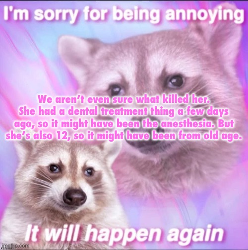 sorry for being annoying | We aren’t even sure what killed her. She had a dental treatment thing a few days ago, so it might have been the anesthesia. But she’s also 12, so it might have been from old age. | image tagged in sorry for being annoying | made w/ Imgflip meme maker