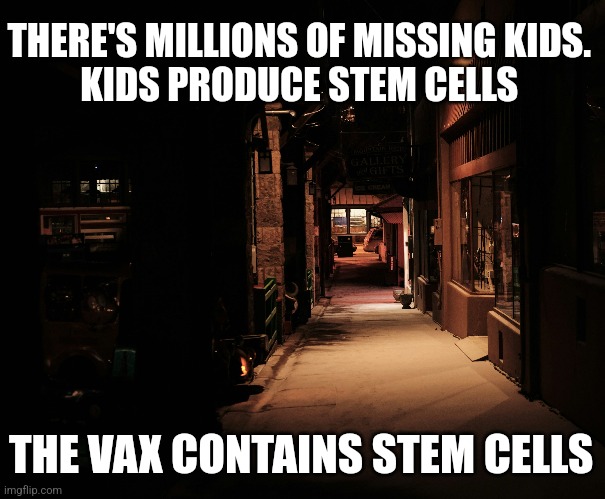 THERE'S MILLIONS OF MISSING KIDS. 
KIDS PRODUCE STEM CELLS; THE VAX CONTAINS STEM CELLS | image tagged in funny memes | made w/ Imgflip meme maker