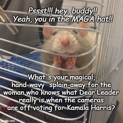 Soooooo.... | Pssst!!! hey, buddy!! Yeah, you in the MAGA hat!! What's your magical, hand-wavy 'splain-away for the woman who knows what Dear Leader really is when the cameras are off voting for Kamala Harris? | image tagged in soooo | made w/ Imgflip meme maker