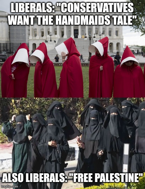 LIBERALS: "CONSERVATIVES WANT THE HANDMAIDS TALE"; ALSO LIBERALS: "FREE PALESTINE" | image tagged in funny memes | made w/ Imgflip meme maker