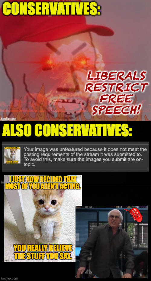 The trickiest bits of free speech are the 'responsible' and 'two-way street' bits. | image tagged in memes,free speech,responsible,two-way street,maga snowflake | made w/ Imgflip meme maker