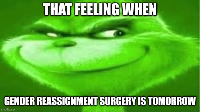 Green Grinch | THAT FEELING WHEN GENDER REASSIGNMENT SURGERY IS TOMORROW | image tagged in green grinch | made w/ Imgflip meme maker