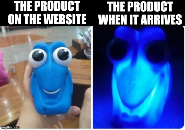 Lol | THE PRODUCT ON THE WEBSITE; THE PRODUCT WHEN IT ARRIVES | image tagged in dory nightlight | made w/ Imgflip meme maker