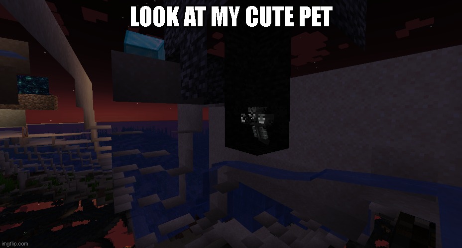 LOOK AT MY CUTE PET | made w/ Imgflip meme maker