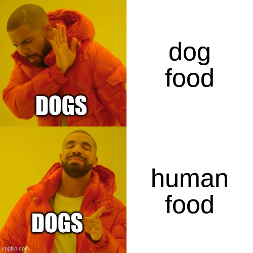 free Maggi | dog food; DOGS; human food; DOGS | image tagged in memes,drake hotline bling | made w/ Imgflip meme maker