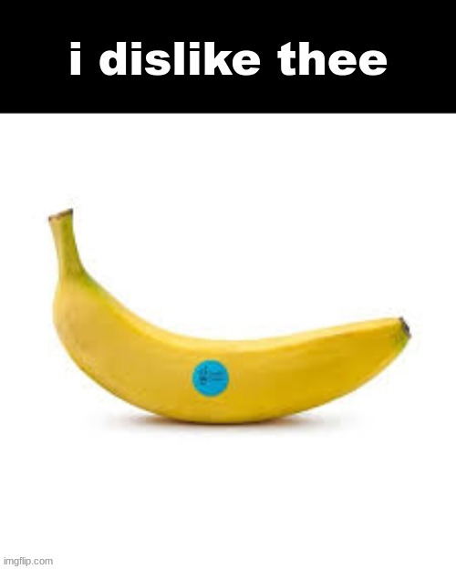 i dislike thee | image tagged in i dislike thee | made w/ Imgflip meme maker