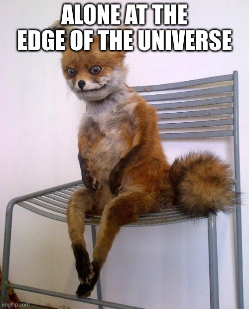 Stoned Fox | ALONE AT THE EDGE OF THE UNIVERSE | image tagged in stoned fox | made w/ Imgflip meme maker