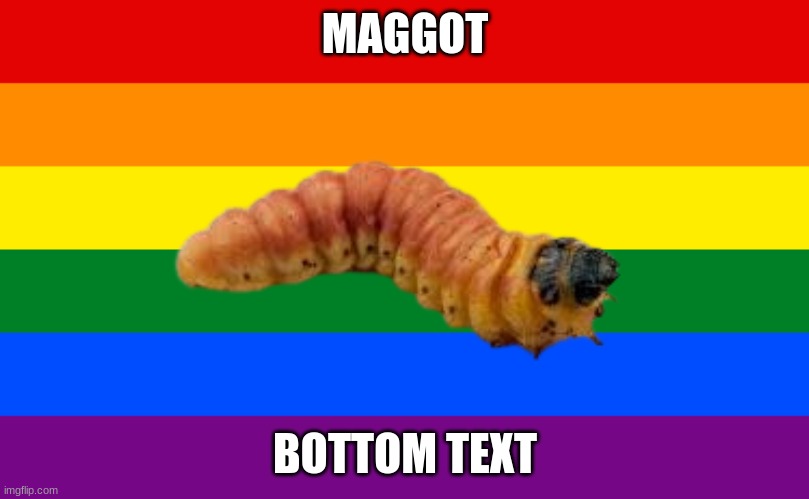 Pride flag | MAGGOT BOTTOM TEXT | image tagged in pride flag | made w/ Imgflip meme maker