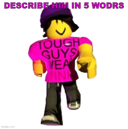 Or 3, idk | DESCRIBE HIM IN 5 WODRS | image tagged in tough guys wear pink | made w/ Imgflip meme maker