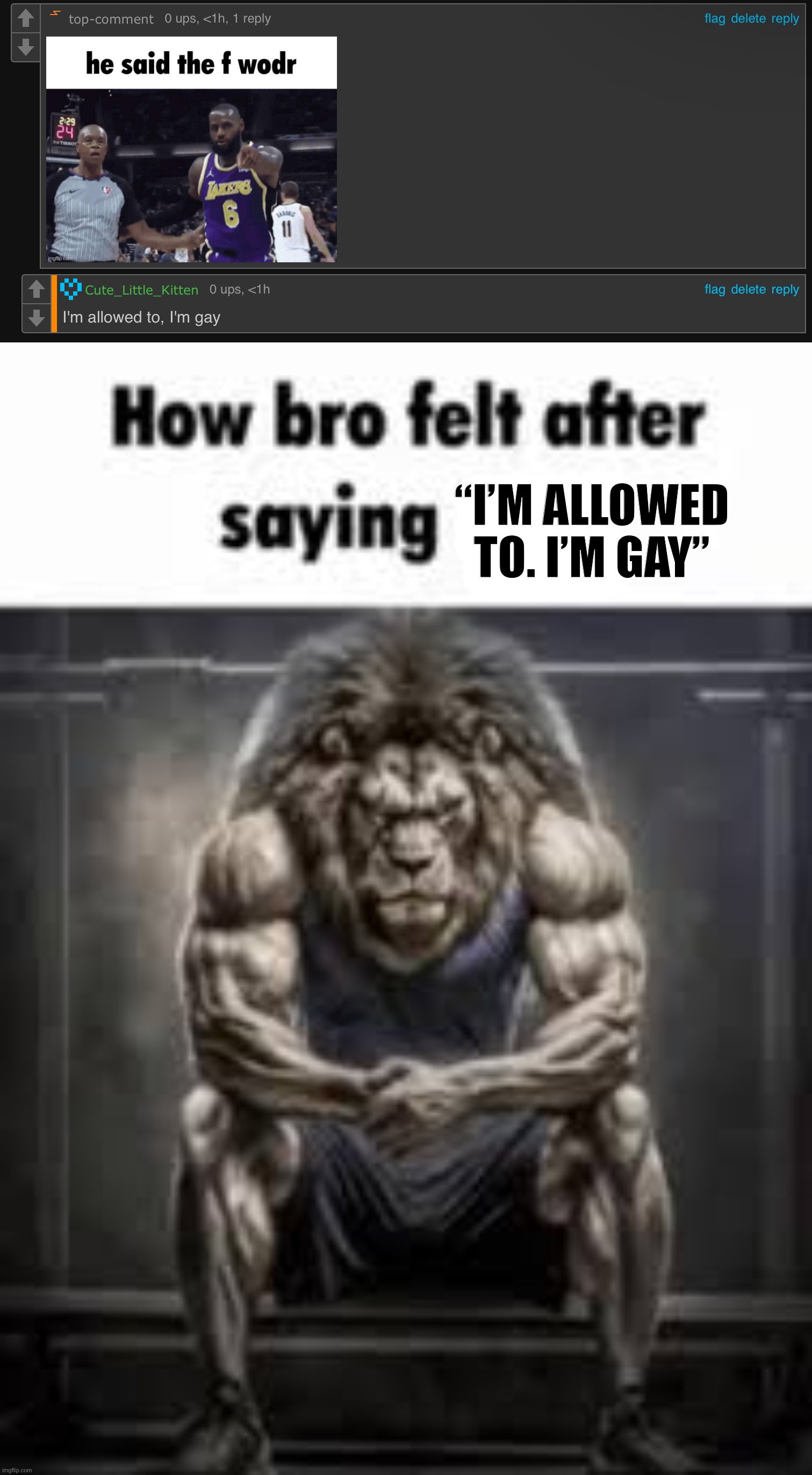 “I’M ALLOWED TO. I’M GAY” | image tagged in how bro felt after saying that | made w/ Imgflip meme maker