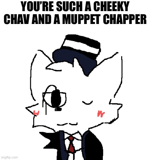 bri’ish | YOU’RE SUCH A CHEEKY CHAV AND A MUPPET CHAPPER | image tagged in bri'ish silly | made w/ Imgflip meme maker