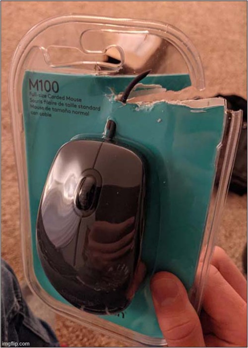 I Bought A Cordless Mouse ! | image tagged in cordless,mouse | made w/ Imgflip meme maker