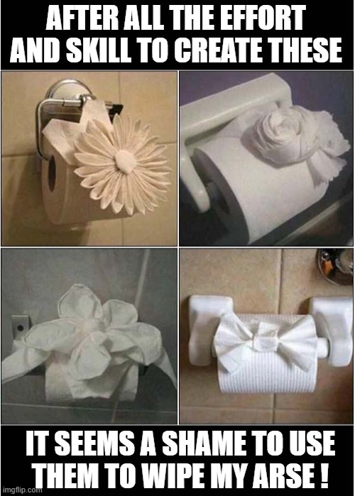 Toilet Humour ? | AFTER ALL THE EFFORT AND SKILL TO CREATE THESE; IT SEEMS A SHAME TO USE
THEM TO WIPE MY ARSE ! | image tagged in toilet paper,origami,dark humour | made w/ Imgflip meme maker