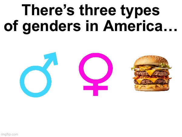 We have , men, women, and cheeseburgers | There’s three types of genders in America… | image tagged in america,genders | made w/ Imgflip meme maker