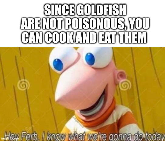 Hey Ferb | SINCE GOLDFISH ARE NOT POISONOUS, YOU CAN COOK AND EAT THEM | image tagged in hey ferb,fish,dark humor | made w/ Imgflip meme maker