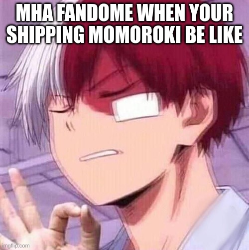 hehe | MHA FANDOME WHEN YOUR SHIPPING MOMOROKI BE LIKE | image tagged in todoroki | made w/ Imgflip meme maker