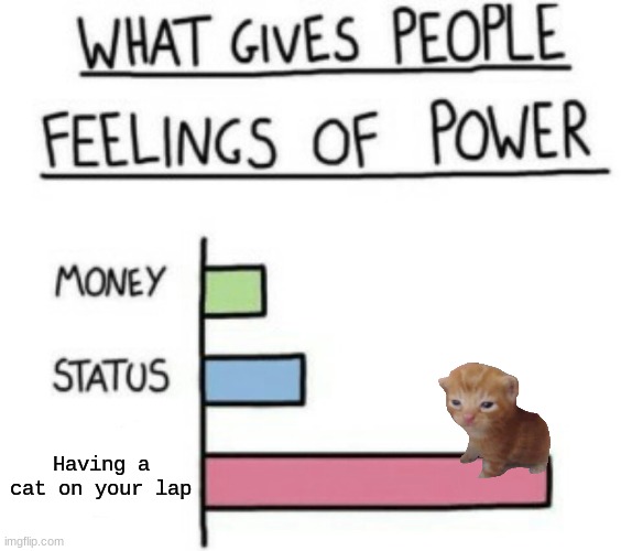 What Gives People Feelings of Power | Having a cat on your lap | image tagged in what gives people feelings of power | made w/ Imgflip meme maker