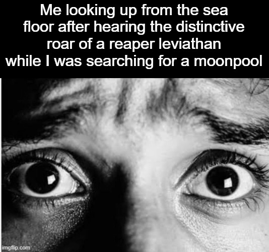 The anxiety subnautica is able to induce is INSANE | Me looking up from the sea floor after hearing the distinctive roar of a reaper leviathan while I was searching for a moonpool | image tagged in unnerved stare | made w/ Imgflip meme maker