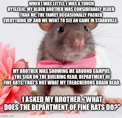 Department of Fine Rats | WHEN I WAS LITTLE, I WAS A TOUCH DYSLEXIC. MY OLDER BROTHER WAS CONSIDERABLY OLDER THAN ME. THE FAMILY OCCASIONALLY PACKED EVERYTHING UP, AND WE WENT TO SEE AN GAME IN STARKVILLE. MY BROTHER WAS SHOWING ME AROUND CAMPUS. 
THE SIGN ON THE BUILDING READ, DEPARTMENT OF FINE ARTS. THAT'S NOT WHAT MY TREACHEROUS BRAIN READ. I ASKED MY BROTHER, "WHAT DOES THE DEPARTMENT OF FINE RATS DO?" | image tagged in rats,dyslexia | made w/ Imgflip meme maker
