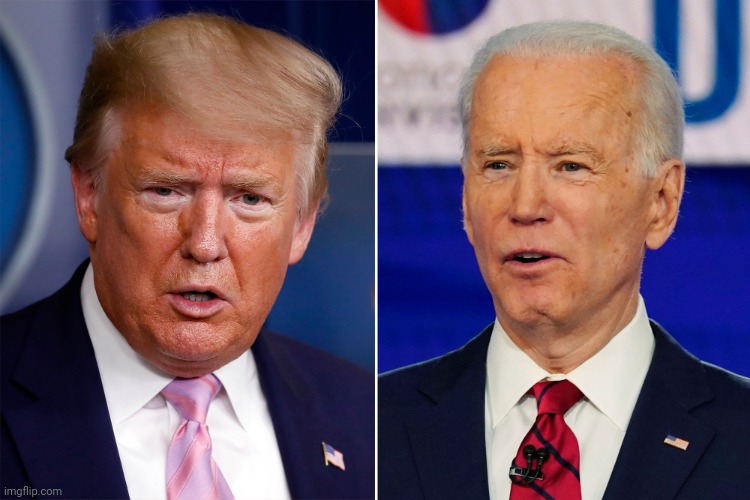 Donald Trump and Joe Biden | image tagged in donald trump and joe biden | made w/ Imgflip meme maker