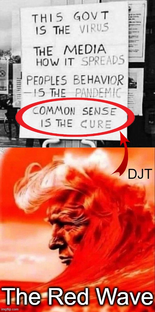 Common sense is instinct, and enough of it is genius.  ~~  Josh Billings | DJT; The Red Wave | image tagged in donald trump,conservatives,presidential election,government corruption,the cure,america | made w/ Imgflip meme maker