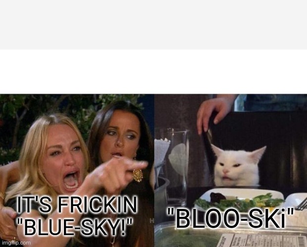 Bluesky | IT'S FRICKIN "BLUE-SKY!"; "BLOO-SKi" | image tagged in memes,woman yelling at cat | made w/ Imgflip meme maker