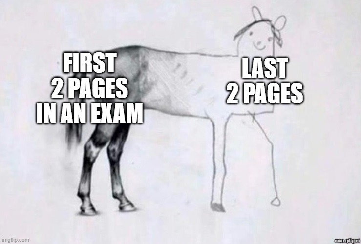 really ppl | FIRST 2 PAGES IN AN EXAM; LAST 2 PAGES | image tagged in horse drawing | made w/ Imgflip meme maker