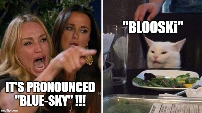 BLUESKY | "BLOOSKi"; IT'S PRONOUNCED "BLUE-SKY" !!! | image tagged in angrylady,cat,bluesky,twitter,musk,donald trump | made w/ Imgflip meme maker