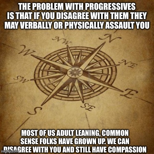 The problem with progressive democrats | THE PROBLEM WITH PROGRESSIVES IS THAT IF YOU DISAGREE WITH THEM THEY MAY VERBALLY OR PHYSICALLY ASSAULT YOU; MOST OF US ADULT LEANING, COMMON SENSE FOLKS HAVE GROWN UP. WE CAN DISAGREE WITH YOU AND STILL HAVE COMPASSION | image tagged in wisdom compass,grow up,angry toddler,make america great again,life is good,let it go | made w/ Imgflip meme maker