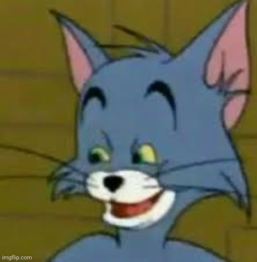 Smug tom | image tagged in smug tom | made w/ Imgflip meme maker