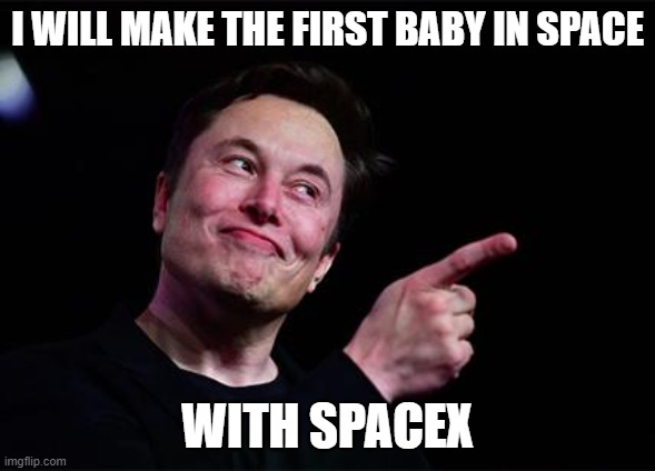 Elon musk | I WILL MAKE THE FIRST BABY IN SPACE; WITH SPACEX | image tagged in elon musk | made w/ Imgflip meme maker