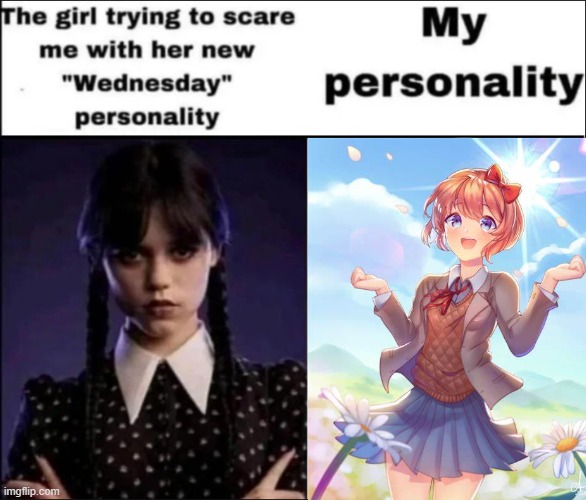 For the people who know DDLC...You know the true reason why I put her | image tagged in the girl trying to scare me with her new wednesday personality | made w/ Imgflip meme maker