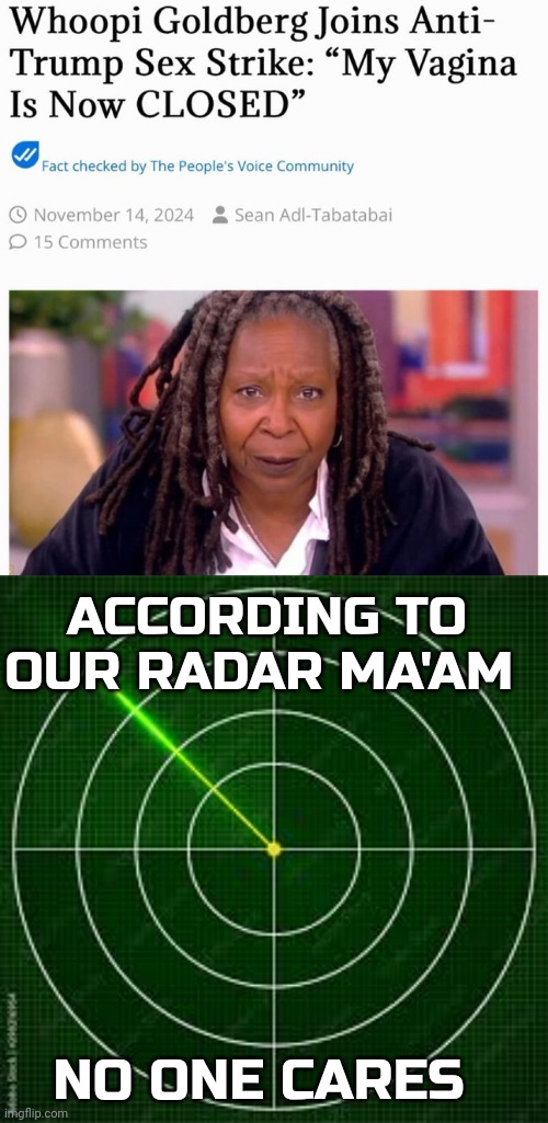 whoopie Goldberg meme | ACCORDING TO OUR RADAR MA'AM; NO ONE CARES | image tagged in no one cares | made w/ Imgflip meme maker