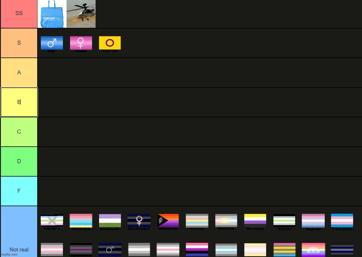 Accurate gender tier list | made w/ Imgflip meme maker